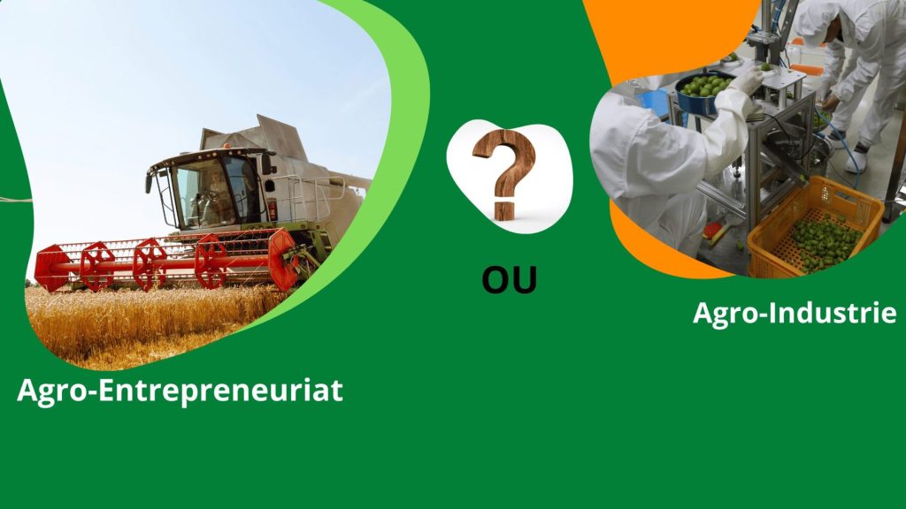 Agro-Industrie ou Agro-Entrepreneuriat senagora
