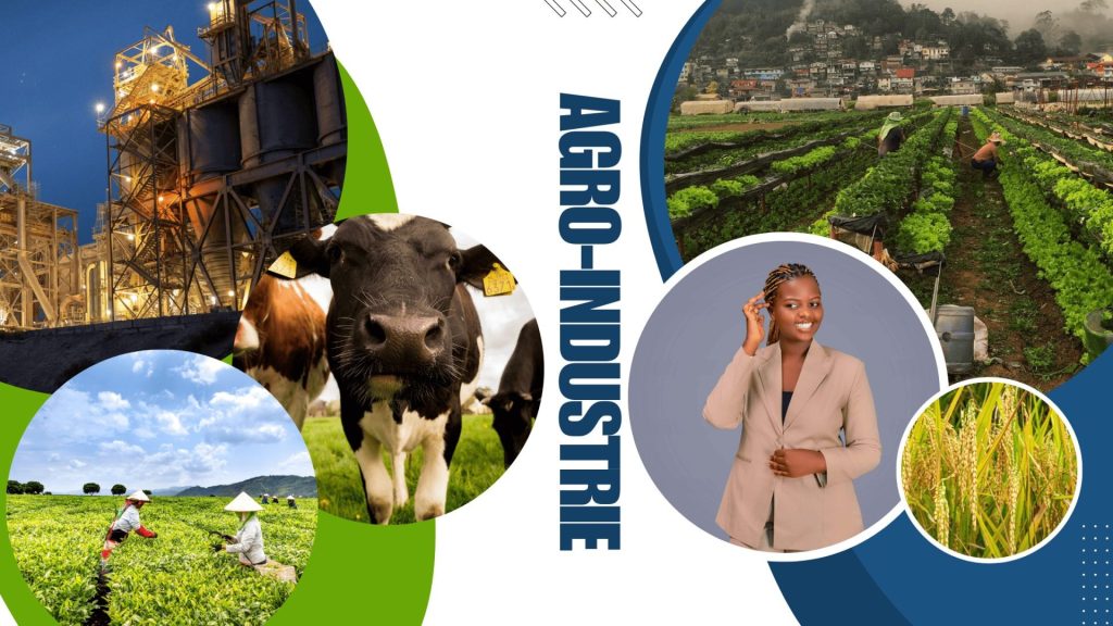 l’Agro-Industrie senagora
